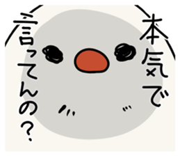 Kotorinopantsu sticker #1153698