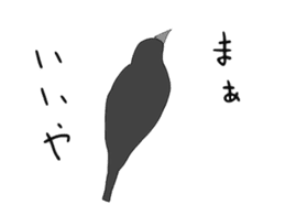 Poppo the crow sticker #1154045