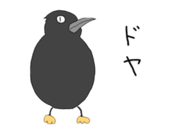 Poppo the crow sticker #1154063