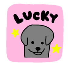 Labrador retriever sticker #1157826