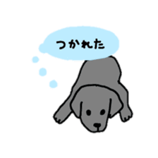 Labrador retriever sticker #1157836