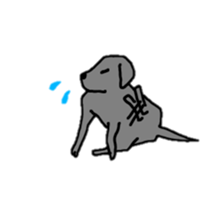 Labrador retriever sticker #1157840