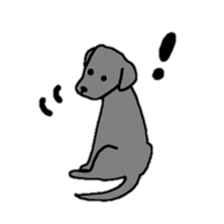 Labrador retriever sticker #1157849