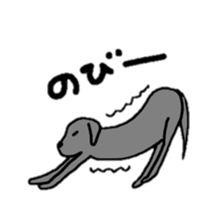Labrador retriever sticker #1157850