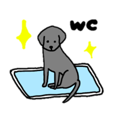 Labrador retriever sticker #1157853