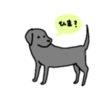 Labrador retriever sticker #1157859