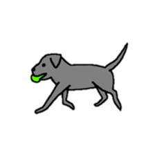 Labrador retriever sticker #1157861