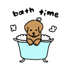 Labrador retriever sticker #1157863