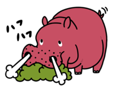 ZOO ANIMALS sticker #1159027