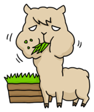 Mr. Alpaca sticker #1159652