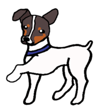 Japanese Terrier sticker #1159951
