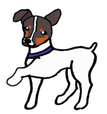 Japanese Terrier sticker #1159951