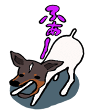 Japanese Terrier sticker #1159952