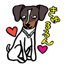 Japanese Terrier sticker #1159957