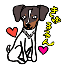 Japanese Terrier sticker #1159957