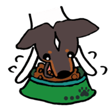 Japanese Terrier sticker #1159961