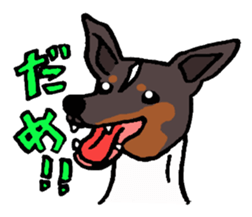 Japanese Terrier sticker #1159965