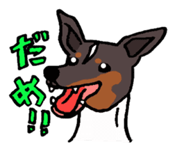 Japanese Terrier sticker #1159965