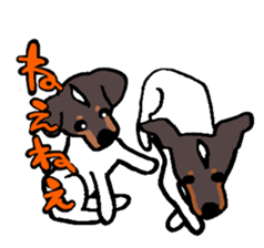 Japanese Terrier sticker #1159966