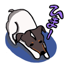 Japanese Terrier sticker #1159976
