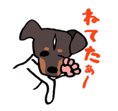 Japanese Terrier sticker #1159977