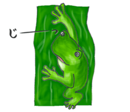 tree flog & Toad Sticker sticker #1160182