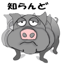 The Berkshire pig of Kagoshima sticker #1160952