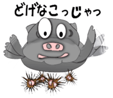 The Berkshire pig of Kagoshima sticker #1160966