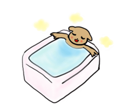 Evolution dog sticker #1163211