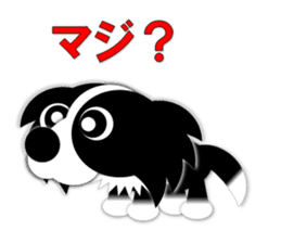 Poly funny border collie sticker #1164388