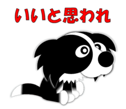 Poly funny border collie sticker #1164391