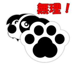 Poly funny border collie sticker #1164394