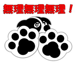 Poly funny border collie sticker #1164395