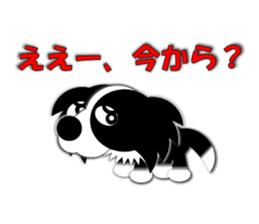 Poly funny border collie sticker #1164397