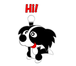 Poly funny border collie sticker #1164399