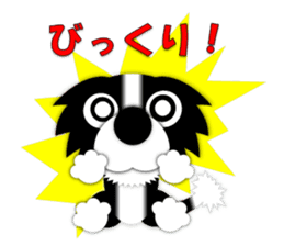 Poly funny border collie sticker #1164401