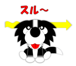 Poly funny border collie sticker #1164403