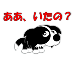 Poly funny border collie sticker #1164405