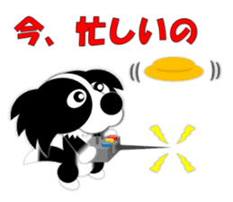 Poly funny border collie sticker #1164406