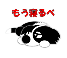 Poly funny border collie sticker #1164409