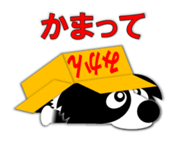 Poly funny border collie sticker #1164412