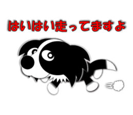 Poly funny border collie sticker #1164413