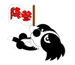 Poly funny border collie sticker #1164415