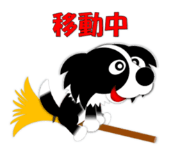 Poly funny border collie sticker #1164417