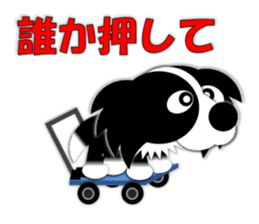 Poly funny border collie sticker #1164418