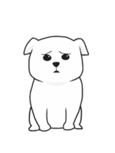 Xin Xin Maltese dog sticker #1166130
