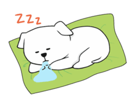 Xin Xin Maltese dog sticker #1166133