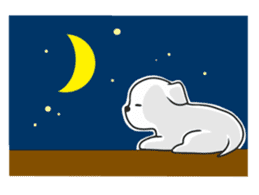 Xin Xin Maltese dog sticker #1166136