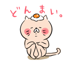 Looser cat sticker #1166151