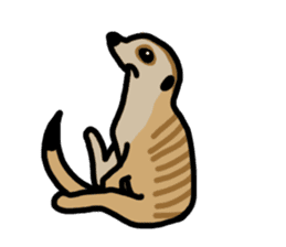 Meerkat sticker #1166730